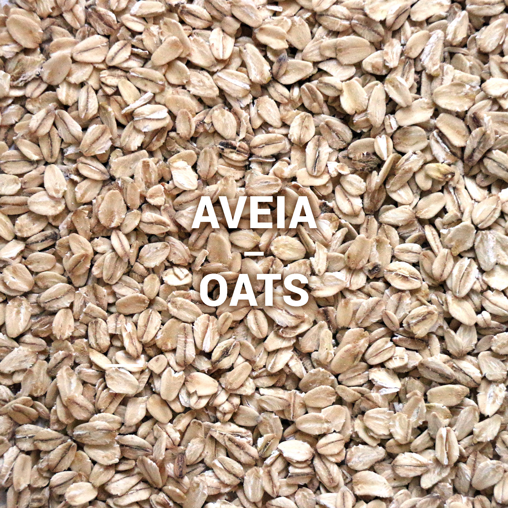 Aveia | Oats