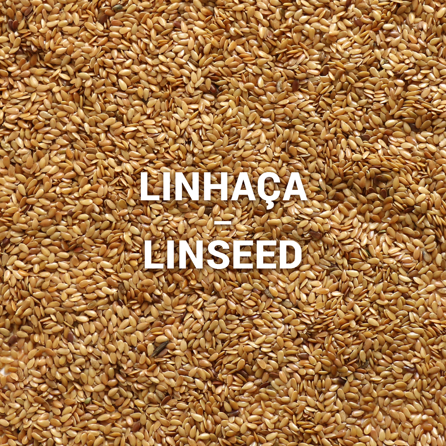 Linhaça | Linseed