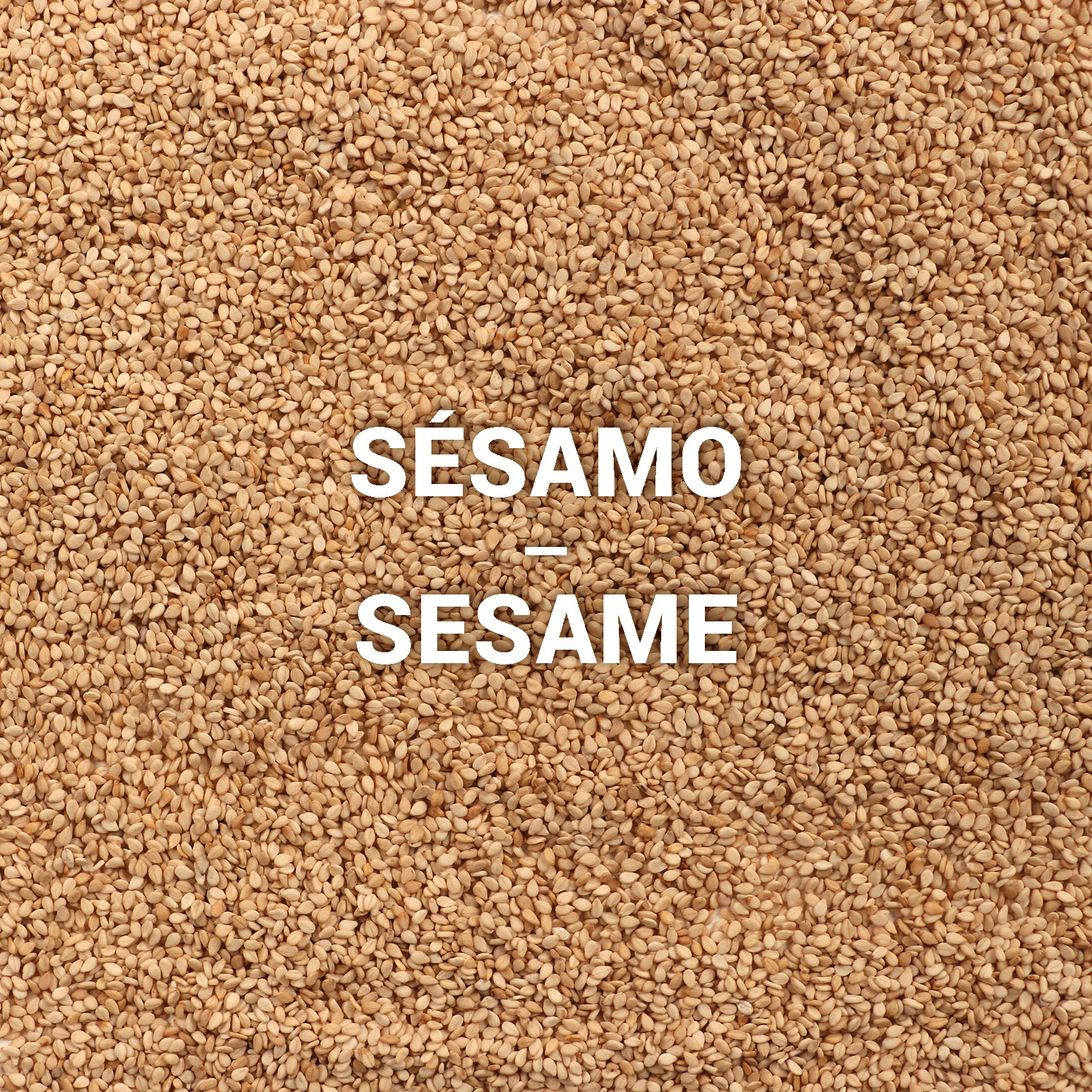 Sementes de Sésamo | Sesame Seeds